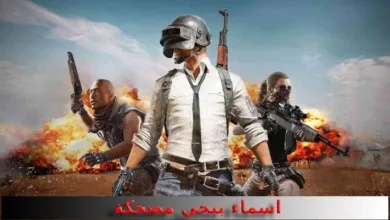 اسماء ببجي مضحكة 2026 القاب ببجي تضحك PUBG اسماء ببجي مضحكة