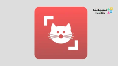 تحميل تطبيق Cat Scanner: Breed Recognition مهكر للاندرويد Apk أخر إصدار 2026 مجانا Cat Scanner: Breed Recognition