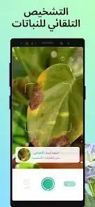 تحميل تطبيق PictureThis مهكر Apk للاندرويد 2026 أخر إصدار مجانا تحميل تطبيق PictureThis مهكر Apk للاندرويد 2026 أخر إصدار مجانا