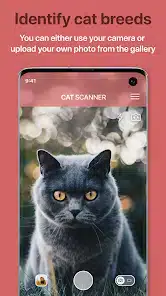 تحميل تطبيق Cat Scanner: Breed Recognition مهكر للاندرويد Apk أخر إصدار 2026 مجانا تحميل تطبيق Cat Scanner: Breed Recognition مهكر للاندرويد Apk أخر إصدار 2026 مجانا
