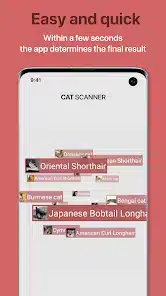 تحميل تطبيق Cat Scanner: Breed Recognition مهكر للاندرويد Apk أخر إصدار 2026 مجانا تحميل تطبيق Cat Scanner: Breed Recognition مهكر للاندرويد Apk أخر إصدار 2026 مجانا