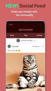 تحميل تطبيق Cat Scanner: Breed Recognition مهكر للاندرويد Apk أخر إصدار 2026 مجانا تحميل تطبيق Cat Scanner: Breed Recognition مهكر للاندرويد Apk أخر إصدار 2026 مجانا