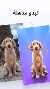 تحميل برنامج فوتو روم PhotoRoom Pro مهكر للاندرويد Apk أخر إصدار 2026 مجانا تحميل برنامج فوتو روم PhotoRoom Pro مهكر للاندرويد Apk أخر إصدار 2026 مجانا