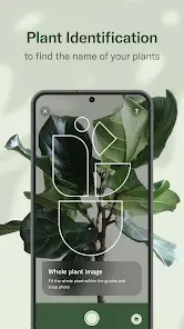 تحميل تطبيق Planta Premium مهكر للاندرويد Apk أخر إصدار 2026 مجانا تحميل تطبيق Planta Premium مهكر للاندرويد Apk أخر إصدار 2026 مجانا