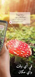 تحميل تطبيق Picture Mushroom مهكر للاندرويد Apk أخر إصدار 2026 مجانا تحميل تطبيق Picture Mushroom مهكر للاندرويد Apk أخر إصدار 2026 مجانا
