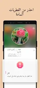 تحميل تطبيق Picture Mushroom مهكر للاندرويد Apk أخر إصدار 2026 مجانا تحميل تطبيق Picture Mushroom مهكر للاندرويد Apk أخر إصدار 2026 مجانا