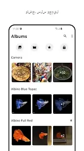 تحميل تطبيق المعرض 1Gallery مهكر Apk للاندرويد 2026 أخر إصدار مجانا تحميل تطبيق المعرض 1Gallery مهكر Apk للاندرويد 2026 أخر إصدار مجانا