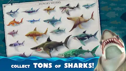 تحميل لعبة Hungry Shark World مهكرة للاندرويد Apk أخر إصدار 2026 مجانا تحميل لعبة Hungry Shark World مهكرة للاندرويد Apk أخر إصدار 2026 مجانا