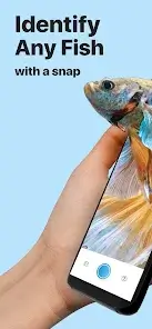 تحميل تطبيق Picture Fish - Fish Identifier مهكر للاندرويد Apk أخر إصدار 2026 مجانا تحميل تطبيق Picture Fish - Fish Identifier مهكر للاندرويد Apk أخر إصدار 2026 مجانا