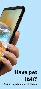 تحميل تطبيق Picture Fish - Fish Identifier مهكر للاندرويد Apk أخر إصدار 2026 مجانا تحميل تطبيق Picture Fish - Fish Identifier مهكر للاندرويد Apk أخر إصدار 2026 مجانا