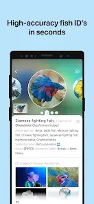 تحميل تطبيق Picture Fish - Fish Identifier مهكر للاندرويد Apk أخر إصدار 2026 مجانا تحميل تطبيق Picture Fish - Fish Identifier مهكر للاندرويد Apk أخر إصدار 2026 مجانا