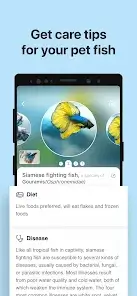تحميل تطبيق Picture Fish - Fish Identifier مهكر للاندرويد Apk أخر إصدار 2026 مجانا تحميل تطبيق Picture Fish - Fish Identifier مهكر للاندرويد Apk أخر إصدار 2026 مجانا