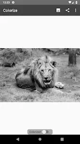 تحميل تطبيق Colorize Images مهكر للاندرويد Apk أخر إصدار 2026 مجانا تحميل تطبيق Colorize Images مهكر للاندرويد Apk أخر إصدار 2026 مجانا