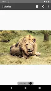 تحميل تطبيق Colorize Images مهكر للاندرويد Apk أخر إصدار 2026 مجانا تحميل تطبيق Colorize Images مهكر للاندرويد Apk أخر إصدار 2026 مجانا