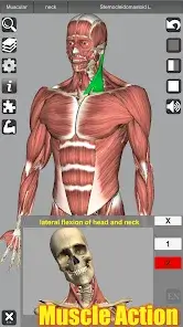 تحميل تطبيق 3D Anatomy مهكر للاندرويد Apk أخر إصدار 2026 مجانا تحميل تطبيق 3D Anatomy مهكر للاندرويد Apk أخر إصدار 2026 مجانا
