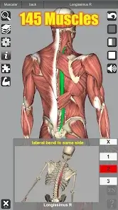 تحميل تطبيق 3D Anatomy مهكر للاندرويد Apk أخر إصدار 2026 مجانا تحميل تطبيق 3D Anatomy مهكر للاندرويد Apk أخر إصدار 2026 مجانا