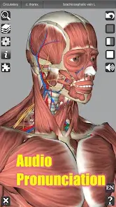 تحميل تطبيق 3D Anatomy مهكر للاندرويد Apk أخر إصدار 2026 مجانا تحميل تطبيق 3D Anatomy مهكر للاندرويد Apk أخر إصدار 2026 مجانا