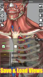 تحميل تطبيق 3D Anatomy مهكر للاندرويد Apk أخر إصدار 2026 مجانا تحميل تطبيق 3D Anatomy مهكر للاندرويد Apk أخر إصدار 2026 مجانا