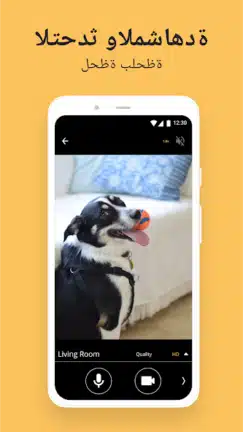 تحميل تطبيق Alfred Camera مهكر للاندرويد Apk أخر إصدار 2026 مجانا تحميل تطبيق Alfred Camera مهكر للاندرويد Apk أخر إصدار 2026 مجانا