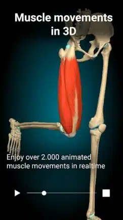 تحميل تطبيق Anatomy Learning مهكر للاندرويد Apk أخر إصدار 2026 مجانا تحميل تطبيق Anatomy Learning مهكر للاندرويد Apk أخر إصدار 2026 مجانا