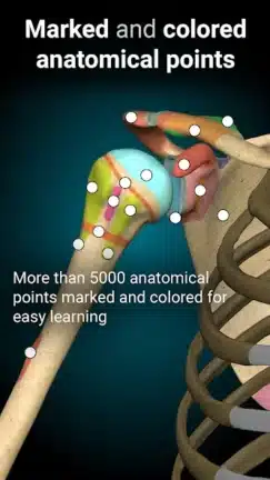 تحميل تطبيق Anatomy Learning مهكر للاندرويد Apk أخر إصدار 2026 مجانا تحميل تطبيق Anatomy Learning مهكر للاندرويد Apk أخر إصدار 2026 مجانا