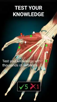 تحميل تطبيق Anatomy Learning مهكر للاندرويد Apk أخر إصدار 2026 مجانا تحميل تطبيق Anatomy Learning مهكر للاندرويد Apk أخر إصدار 2026 مجانا