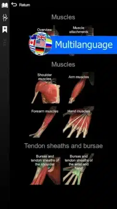تحميل تطبيق Anatomy Learning مهكر للاندرويد Apk أخر إصدار 2026 مجانا تحميل تطبيق Anatomy Learning مهكر للاندرويد Apk أخر إصدار 2026 مجانا