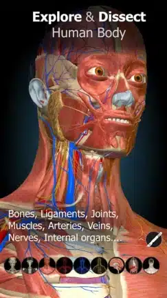 تحميل تطبيق Anatomy Learning مهكر للاندرويد Apk أخر إصدار 2026 مجانا تحميل تطبيق Anatomy Learning مهكر للاندرويد Apk أخر إصدار 2026 مجانا