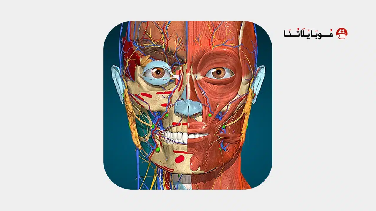 تحميل تطبيق Anatomy Learning مهكر للاندرويد Apk أخر إصدار 2026 مجانا تحميل تطبيق Anatomy Learning مهكر
