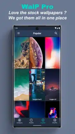 تحميل تطبيق WalP Pro مهكر للاندرويد Apk أخر إصدار 2026 مجانا تطبيق WalP Pro مهكر