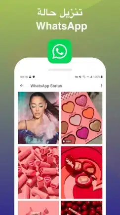 تحميل تطبيق فيد تيوب Vidtube مهكر للاندرويد Apk أخر إصدار 2026 مجانا تحميل تطبيق فيد تيوب Vidtube مهكر للاندرويد Apk أخر إصدار 2026 مجانا