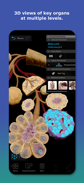 تحميل تطبيق Human Anatomy Atlas مهكر للاندرويد Apk أخر إصدار 2026 مجانا تحميل تطبيق Human Anatomy Atlas مهكر للاندرويد Apk أخر إصدار 2026 مجانا