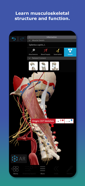 تحميل تطبيق Human Anatomy Atlas مهكر للاندرويد Apk أخر إصدار 2026 مجانا تحميل تطبيق Human Anatomy Atlas مهكر للاندرويد Apk أخر إصدار 2026 مجانا
