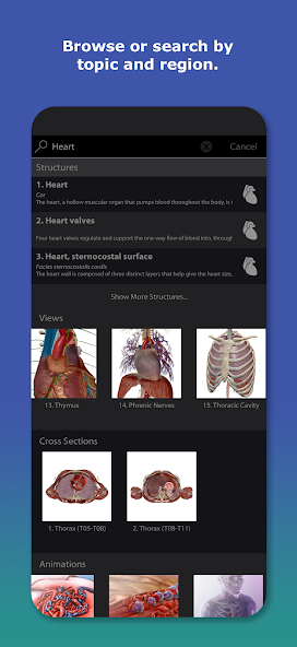 تحميل تطبيق Human Anatomy Atlas مهكر للاندرويد Apk أخر إصدار 2026 مجانا تحميل تطبيق Human Anatomy Atlas مهكر للاندرويد Apk أخر إصدار 2026 مجانا
