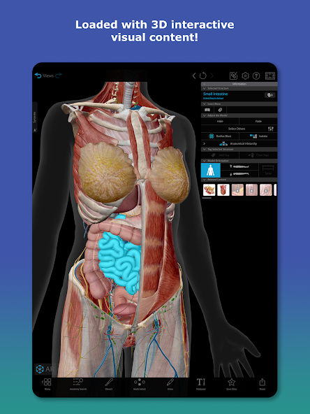 تحميل تطبيق Human Anatomy Atlas مهكر للاندرويد Apk أخر إصدار 2026 مجانا تحميل تطبيق Human Anatomy Atlas مهكر للاندرويد Apk أخر إصدار 2026 مجانا